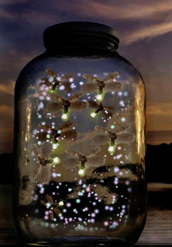 Catching Fireflies