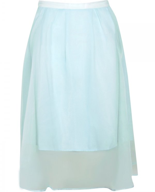 Boohoo Organza Overlay Midi Skirt