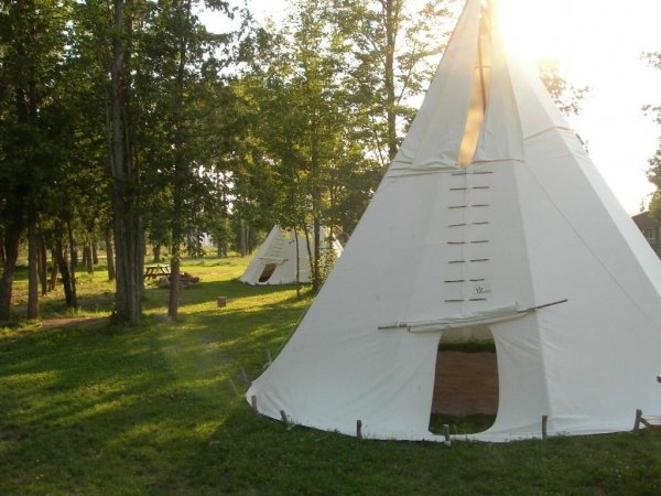 Tee Pees