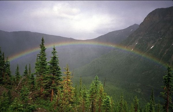 The Great Divide Trail