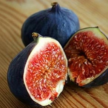 Figs