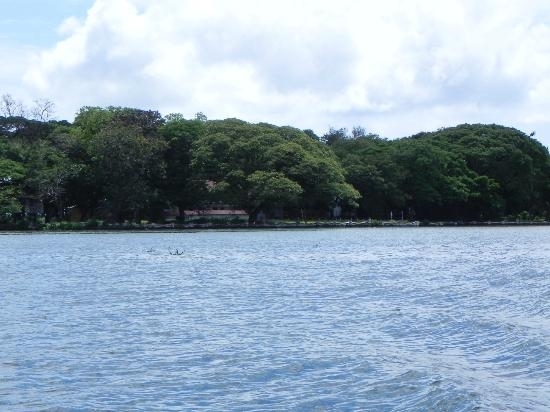 Bolgatty Island