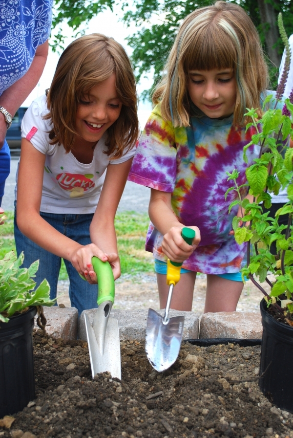 Identify Plants and Animals in Your Area