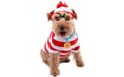 Where’s Waldo Costume