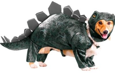 Stegosaurus Costume