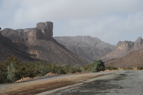 Tit, Algeria