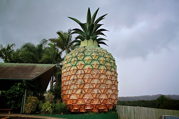 The Big Pineapple