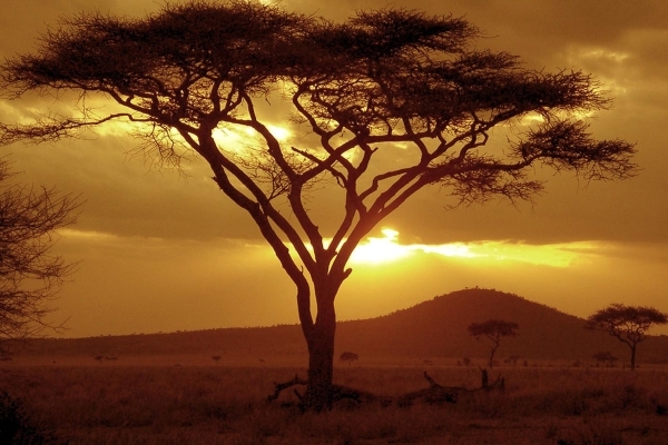 Serengeti National Park, Tanzania