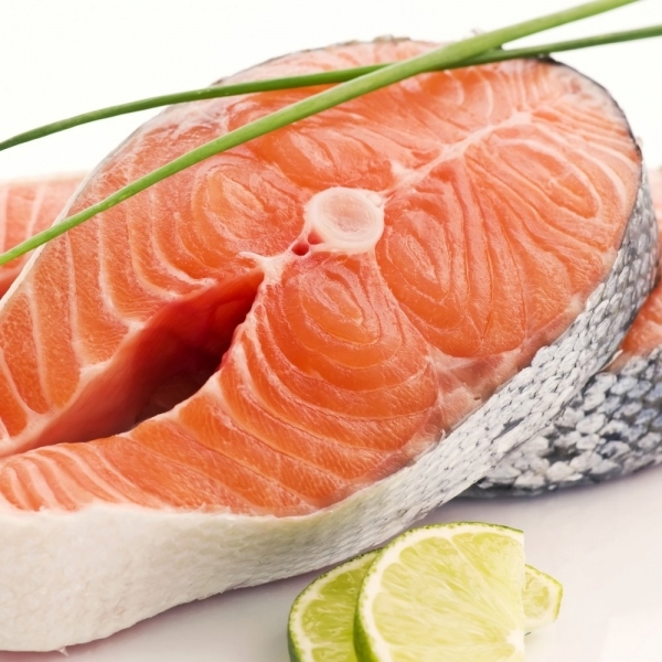 Salmon