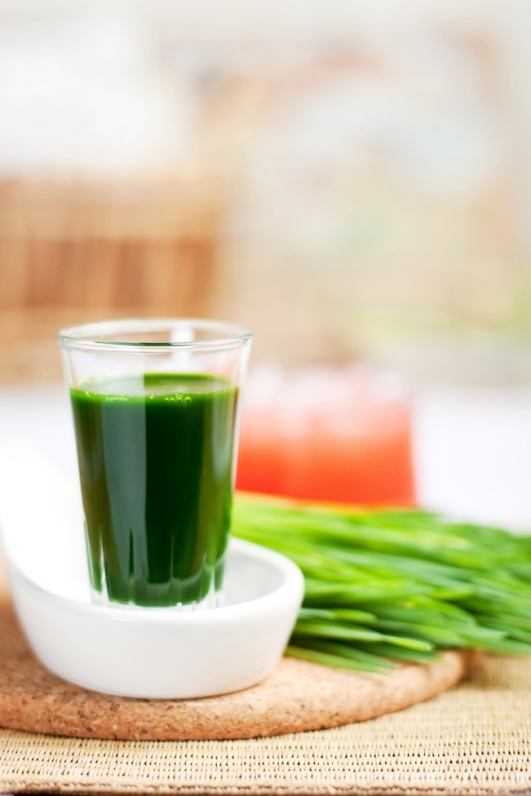 Wheatgrass