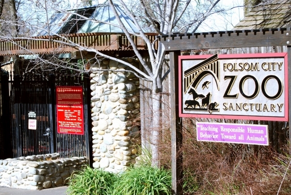 See the Wildlife at Folsom Zoo Sanctuary