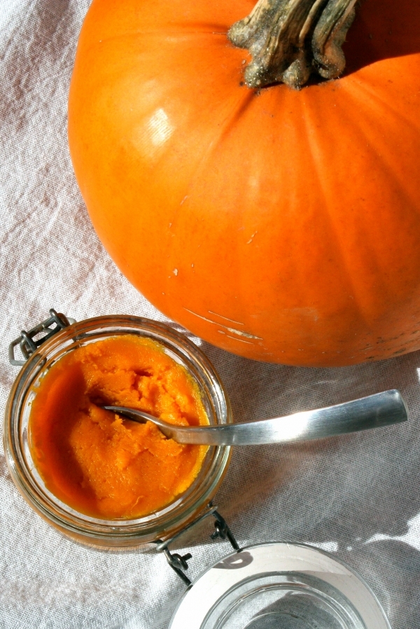 Canned Pumpkin