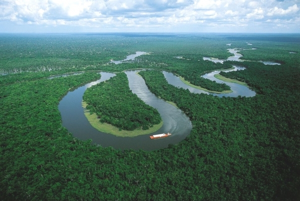 The Amazon