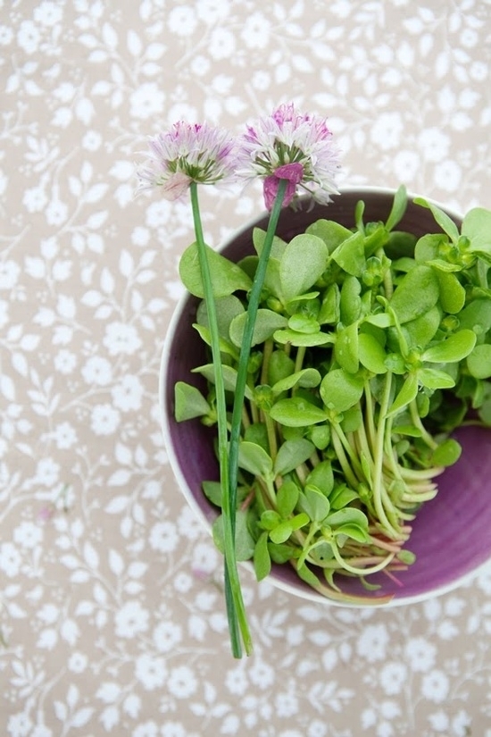 Green Vegetables and Leafy Greens