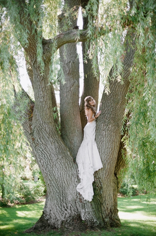 Up a Tree and Too Cute