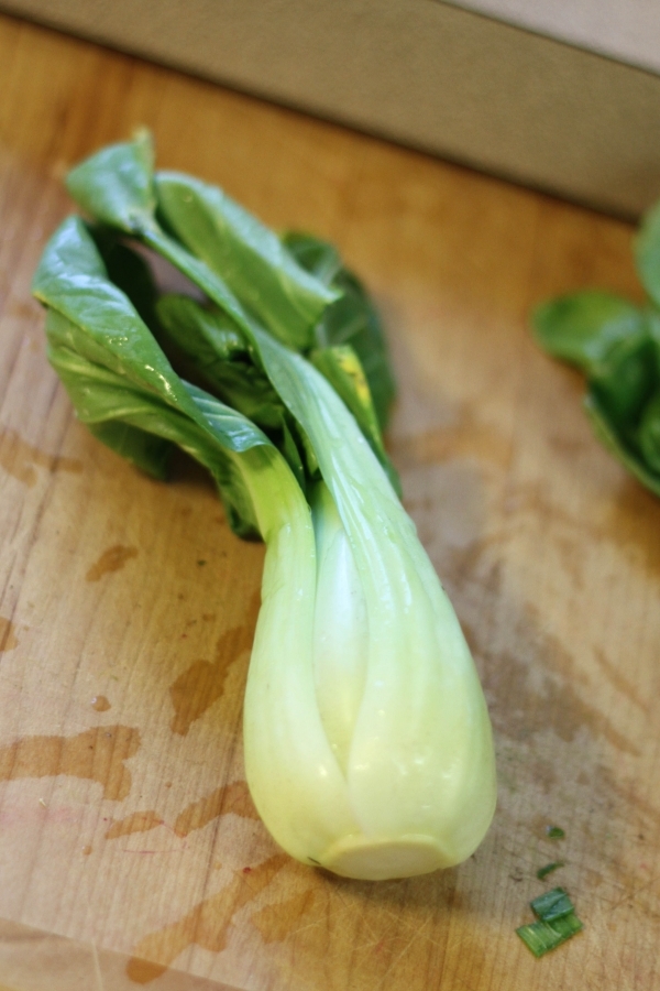 Bok Choy