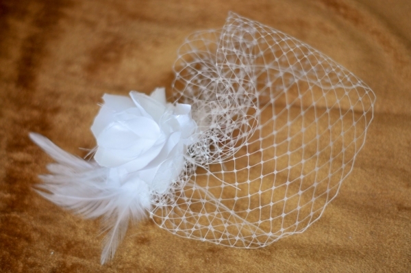 Birdcage Veil