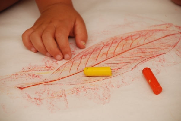 Leaf Rubbings