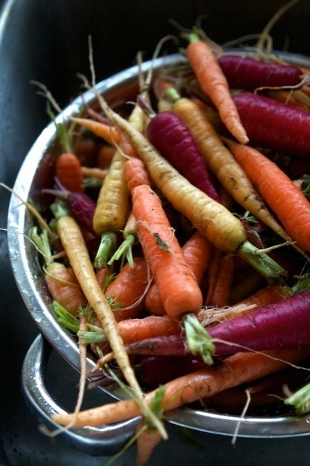 Carrots