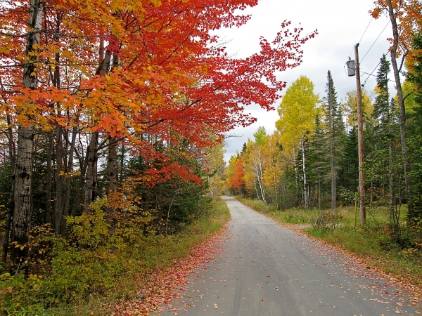 Maple and Mountains Tour, Maine
