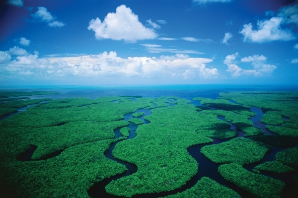 Florida Everglades