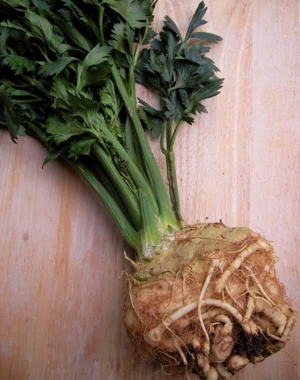 3 Things to do with Celeriac