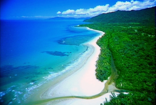 Cape Tribulation Beach in Australia