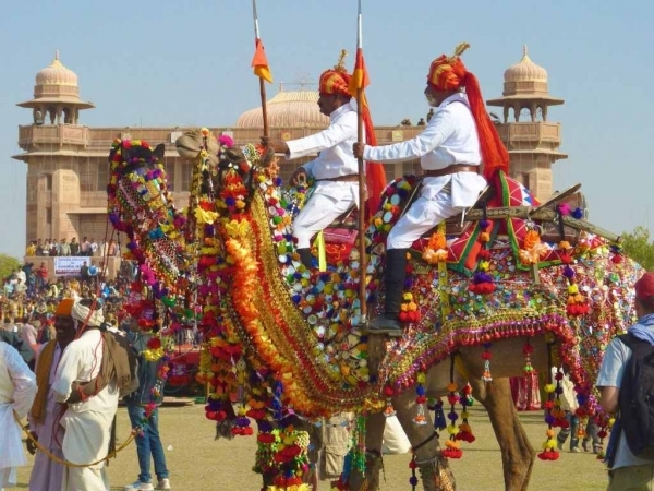 Bikaner Camel Festival Rajasthan, India