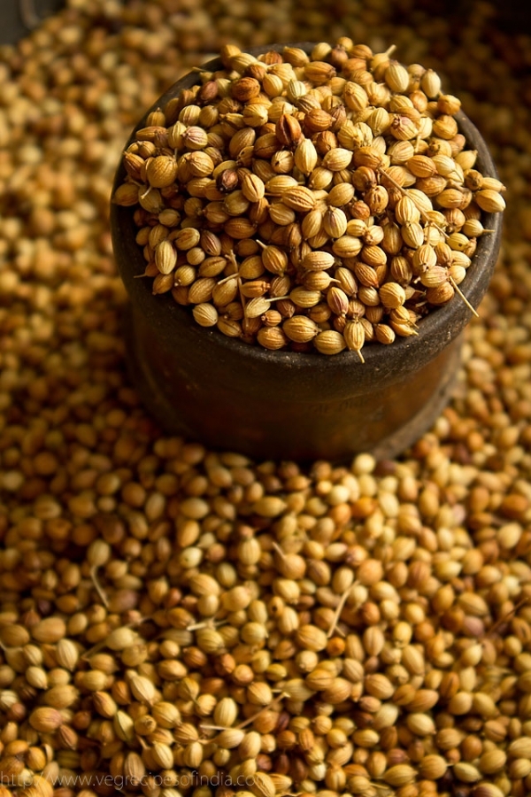 Curative Coriander