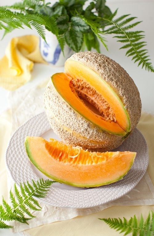 Cantaloupe