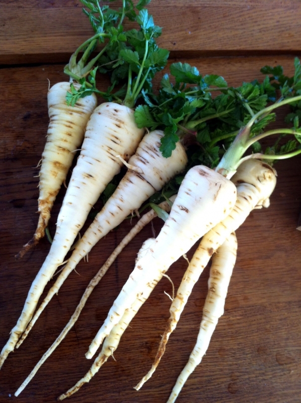 Parsnips