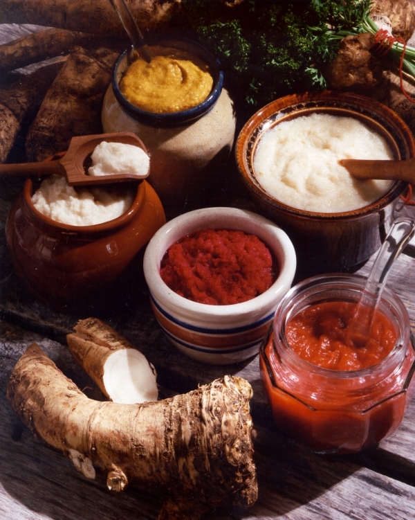 Horseradish