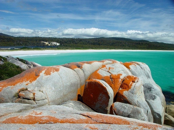 The Bay of Fires, Tasmania