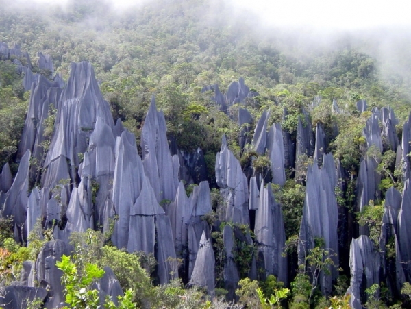 Gunung Mulu National Park