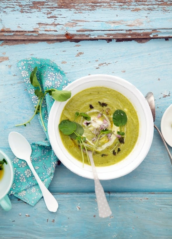 Herbed Zucchini Soup