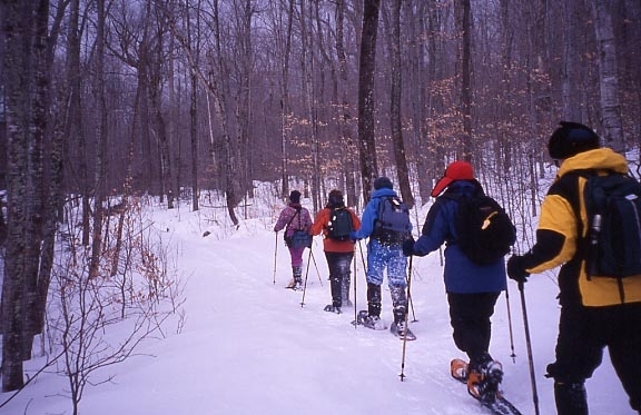 Snowshoeing