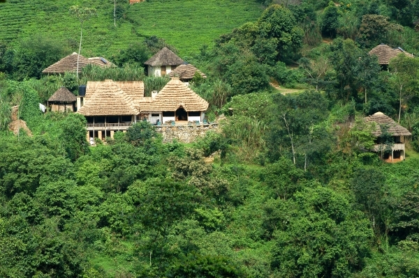 Bwindi Forest National Park, Uganda