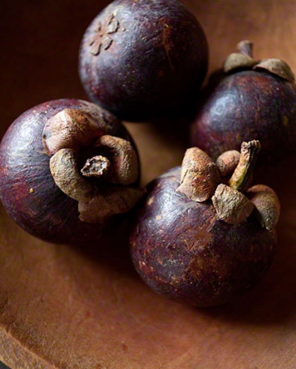 Mangosteen