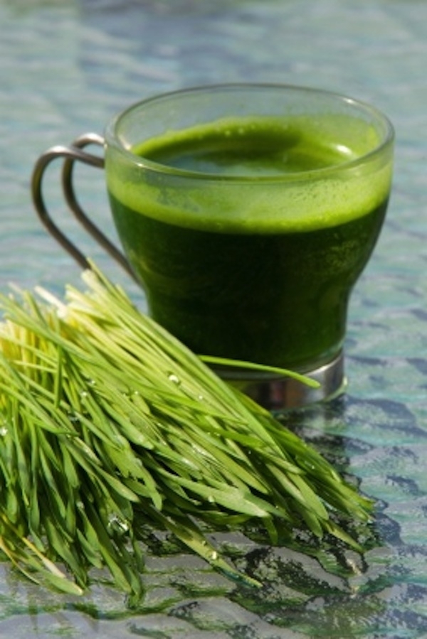 Wheatgrass Shots