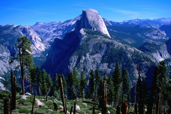 Hike through Yosemite National Park