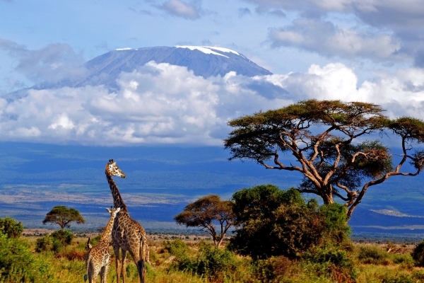 Climb Mt. Kilimanjaro