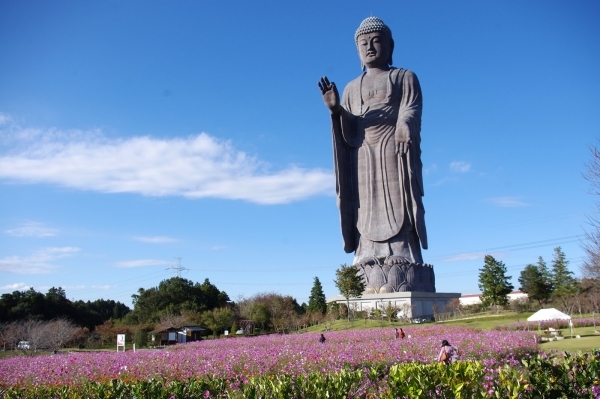 Ushiku Daibutsu, Ushiku, Japan