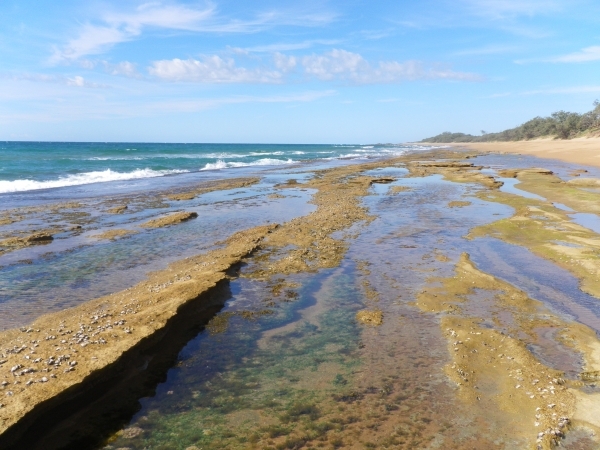 Camp in Deepwater National Park