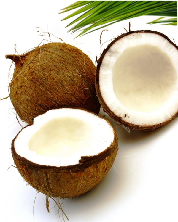 Coconut