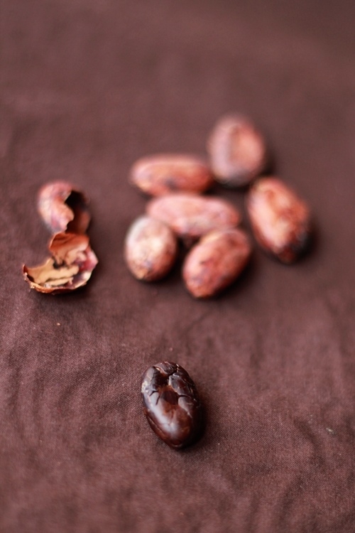 Cacao