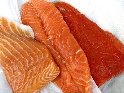 Salmon