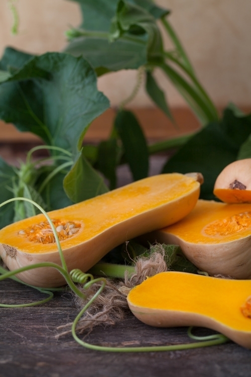 Butternut Squash