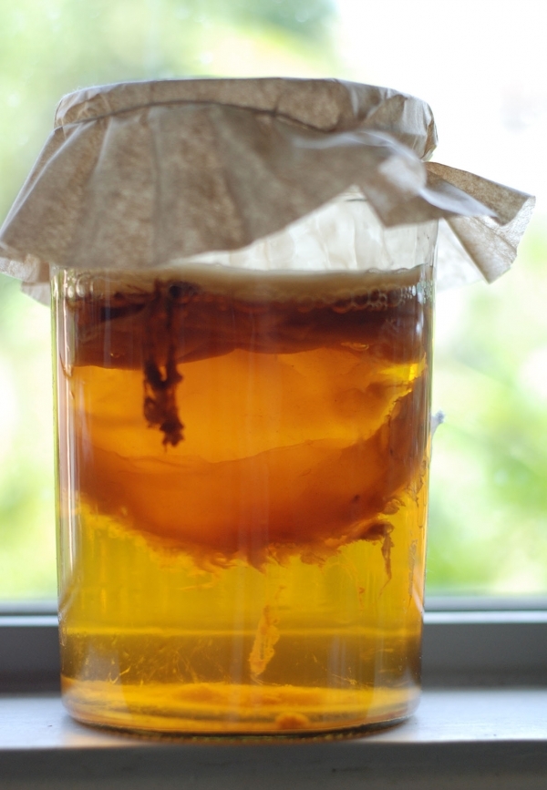 Kombucha