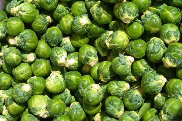 Brussels Sprouts