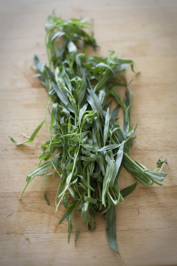 Tarragon